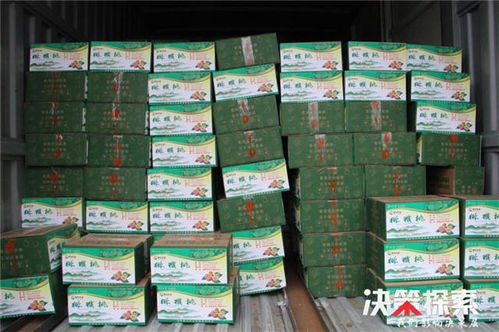 警民攜手 共克時(shí)艱 愛心企業(yè)為新野公安民警 輔警捐贈(zèng)防護(hù)用品和生活物資